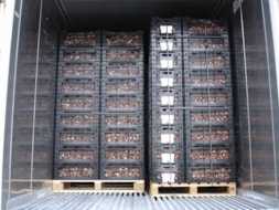 Container Loading 